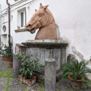 Il Cavallo di Napoli.